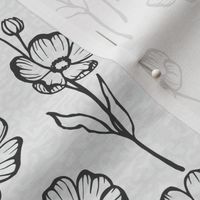 Hand Dranw Buttercup Wildflowers in Black and White