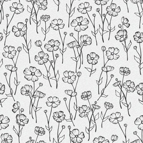 Hand Dranw Buttercup Wildflowers in Black and White