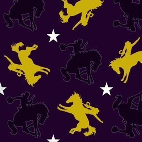 purple cowboys and gold 