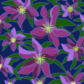 Midnight Clematis - large scale