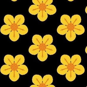 Bold Golden Buttercups on Black - Large Scale