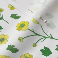 Simply Buttercup // Small Scale // Sunny Flowers // Blooming // Boho Style // Sage Floral White background //
