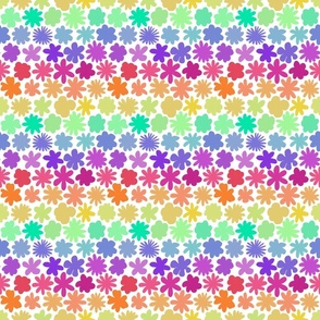 Rainbow Flower Stripe