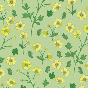 Baby Spring Buttercup // Small Scale // Sunny Flowers // Blooming // Boho Style // Green background //