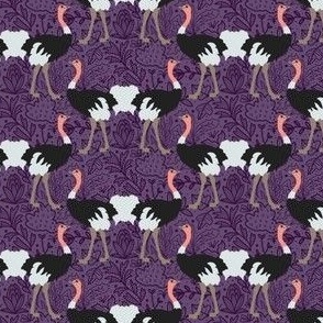 Ostrich Dance, Purple