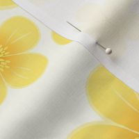 Buttercups on Cream - XL