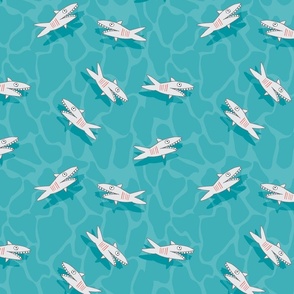 5" sharks