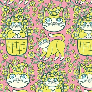 Buttercups and Cats in Pink