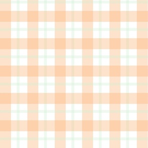 Peach & Mint Green Checks