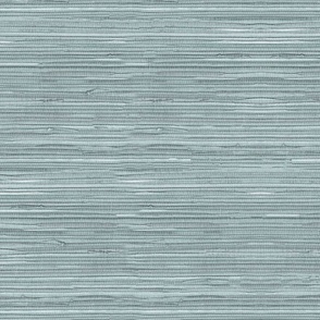 Tropical Grasscloth-silver gray 2023 color