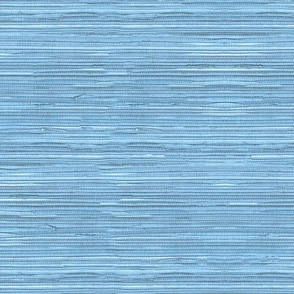 Tropical Grasscloth 2023-ice blue