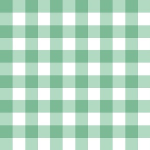 1.5: gingham checkers/jade cream green/medium