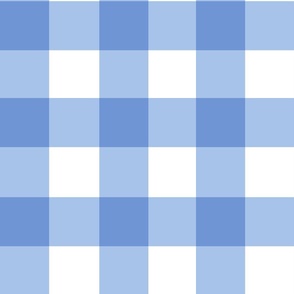 3” gingham checkers/bright blue/large