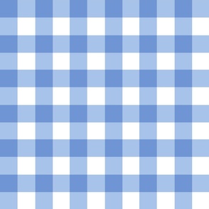 1.5” gingham checkers/bright blue/medium