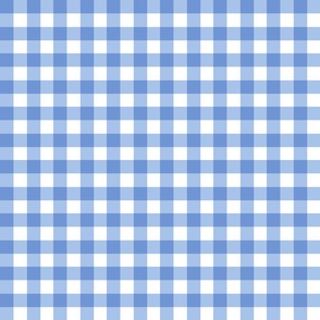 0.75” gingham checkers/bright blue/small
