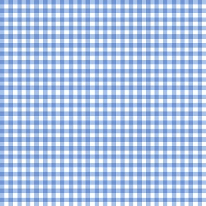 3/8” gingham checkers/bright blue/extra small tiny