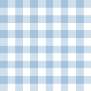 1.5” gingham checkers/light blue/medium