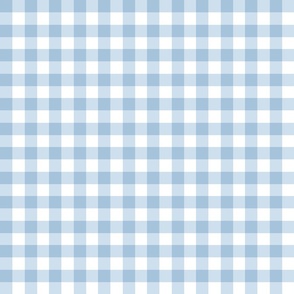 0.75” gingham checkers/light blue/small