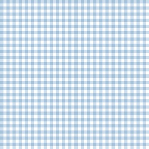 3/8” gingham checkers/light blue/extra small tiny