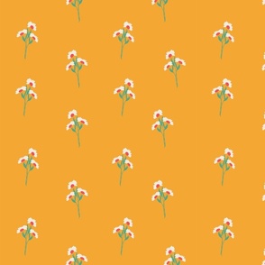 Flower daisy white orange tangerine