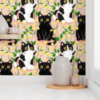 Buttercup flowers and cats, cat fabric wallpaper large scale