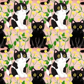 Buttercup flowers and cats, cat fabric wallpaper large scale
