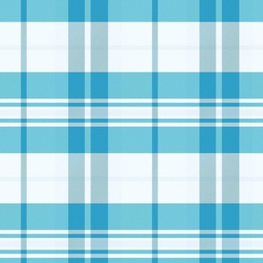 Arable plaid pattern - Blue and White- Winter Tartan Collection