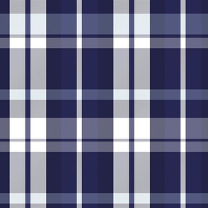 Aillith Plaid Pattern - Navy Blue and White - Winter Tartan Collection