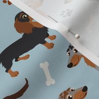 Long haired Dachshund Dogs Paws and Bones Blue