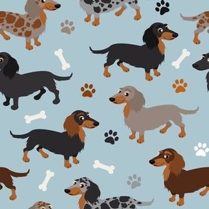 Long haired Dachshund Dogs Paws and Bones Blue