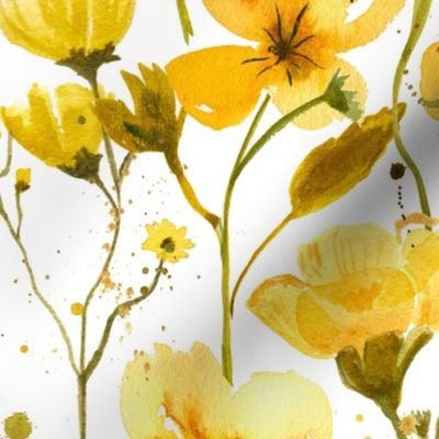Watercolor Buttercup Flowers | Hand Painted