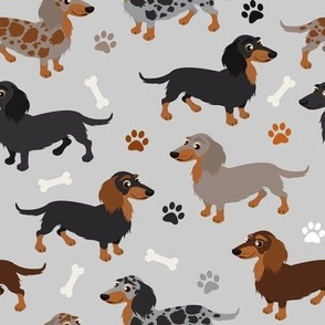 Long haired Dachshund Dogs Paws and Bones Gray