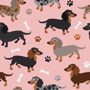 Long haired Dachshund Dogs Paws and Bones Pink