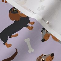 Long haired Dachshund Dogs Paws and Bones Purple