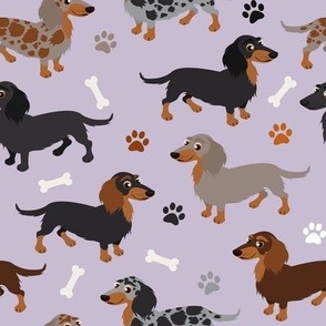 Long haired Dachshund Dogs Paws and Bones Purple