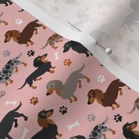 Long haired Dachshund Dogs Small Scale Pink