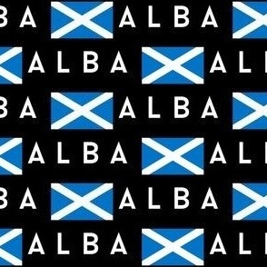 MINI Scotland flag fabric - alba gaelic scottish flag black 4in