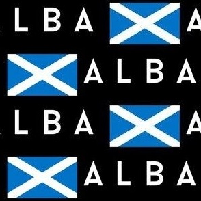 SMALL Scotland flag fabric - alba gaelic scottish flag black 6in