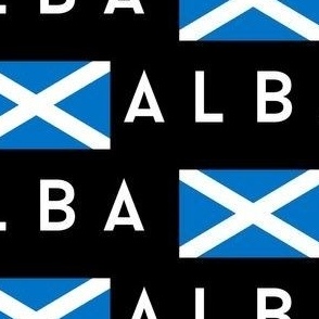 MEDIUM Scotland flag fabric - alba gaelic scottish flag black 8in