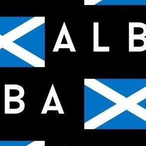 LARGE Scotland flag fabric - alba gaelic scottish flag black 10in