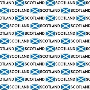 MICRO Scotland flag fabric - alba gaelic scottish flag black white 2in