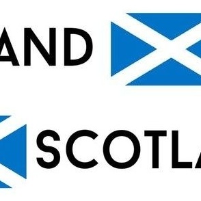 XLARGE Scotland flag fabric - alba gaelic scottish flag white 12in