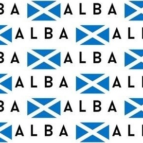 MINI Scotland flag fabric - alba gaelic scottish flag white 4in