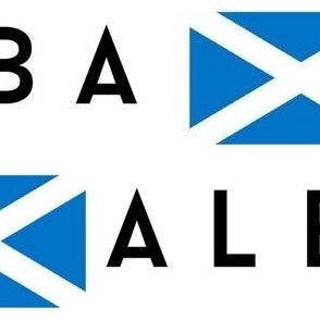 XLARGE Scotland flag fabric - alba gaelic scottish flag white12in