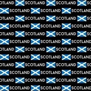 MICRO Scotland flag fabric - alba gaelic scottish flag white 2in