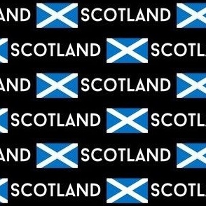 MINI Scotland flag fabric - alba gaelic scottish flag white 4in