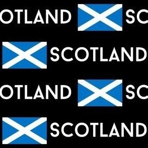 SMALL Scotland flag fabric - alba gaelic scottish flag white 6in