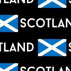 MEDIUM Scotland flag fabric - alba gaelic scottish flag white 8in