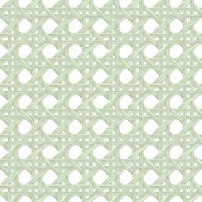 Small Sally Quiet Light Green on White 