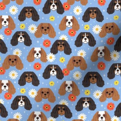 Small Cavalier King Dogs Flowers - Blue